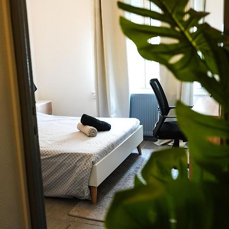 Appartement Temis Et Centre Ville Avec Parking-Wifi 贝桑松 外观 照片