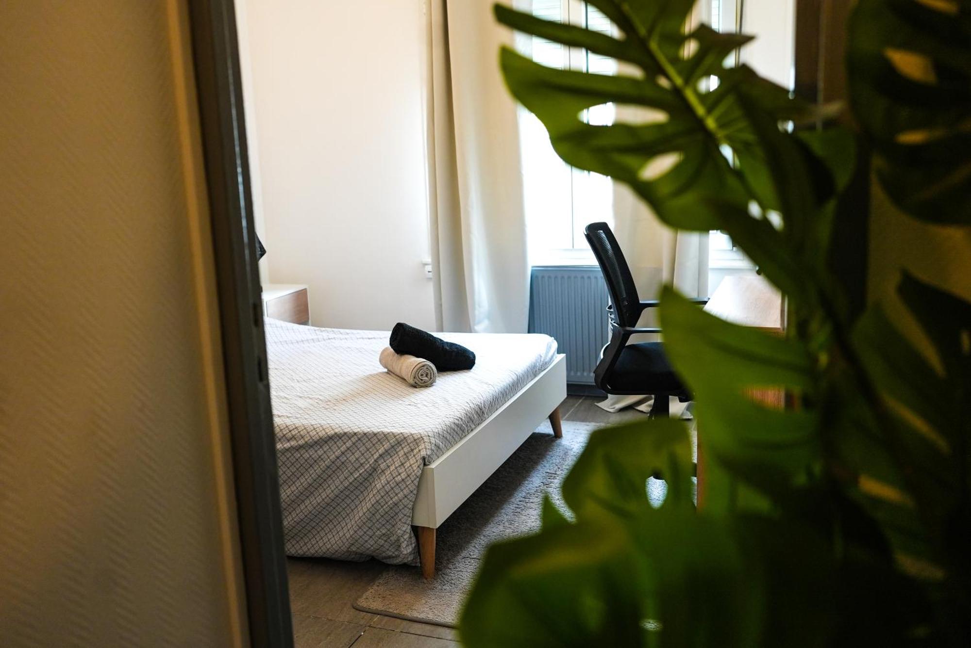 Appartement Temis Et Centre Ville Avec Parking-Wifi 贝桑松 外观 照片