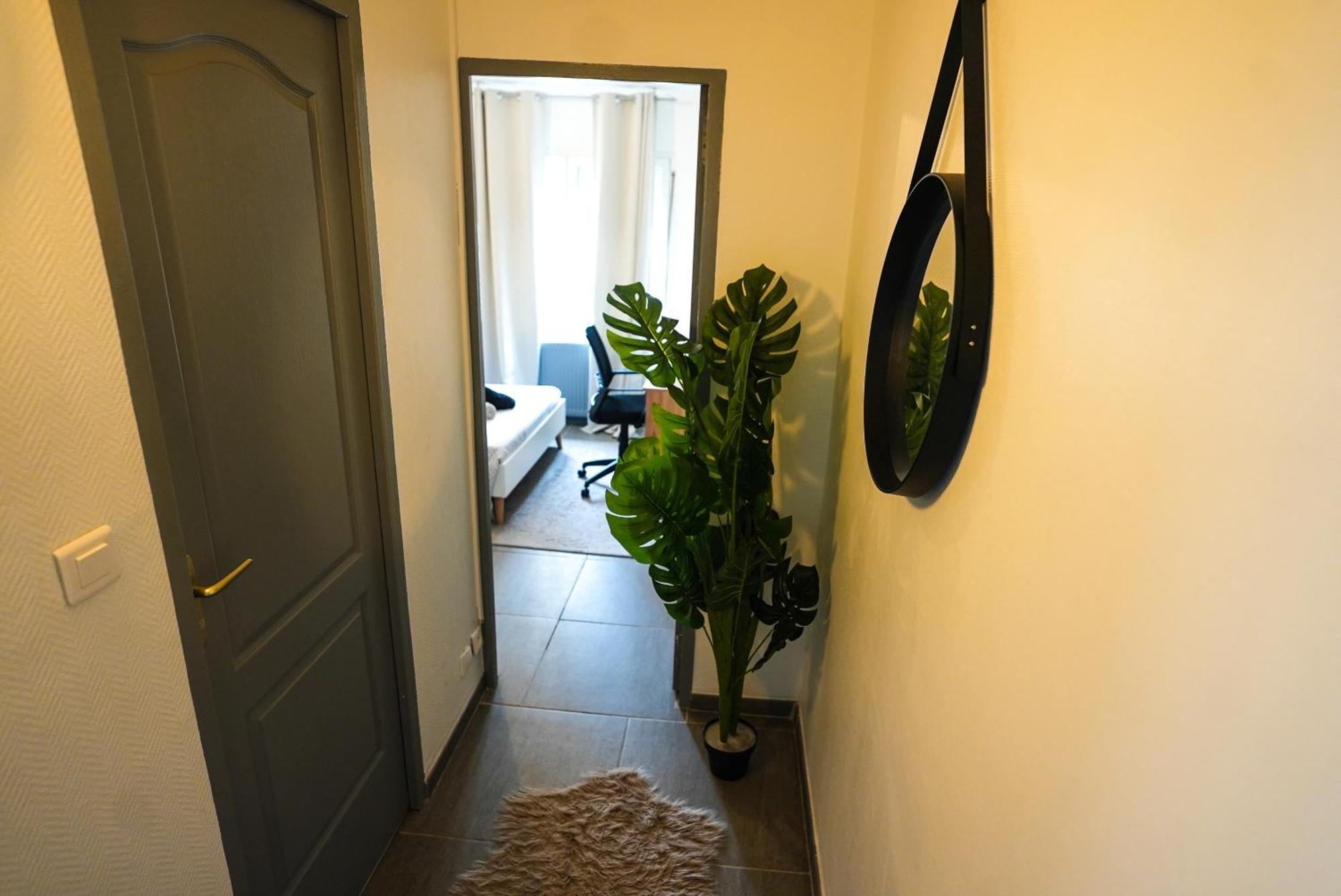 Appartement Temis Et Centre Ville Avec Parking-Wifi 贝桑松 外观 照片