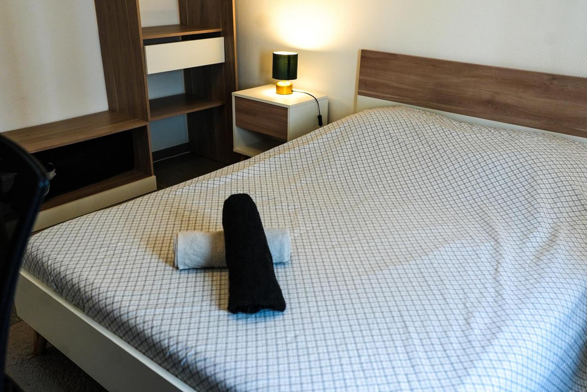 Appartement Temis Et Centre Ville Avec Parking-Wifi 贝桑松 外观 照片
